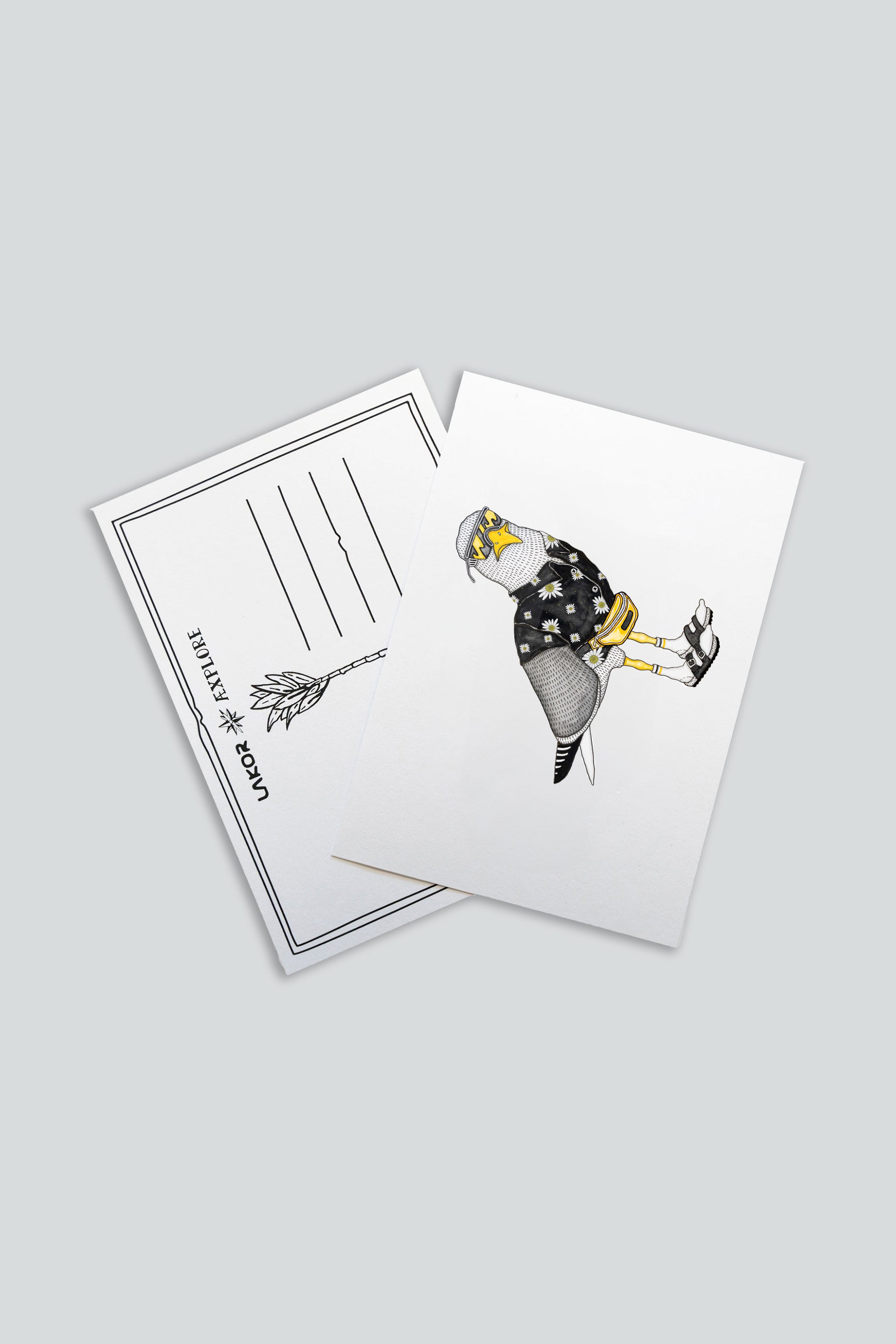 Sightseer Seagull Postcard