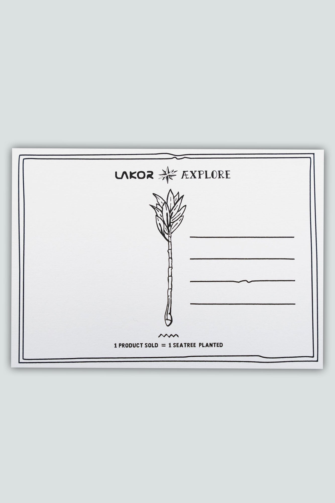 LAKOR An Otter Coffee Postkort Postcard White