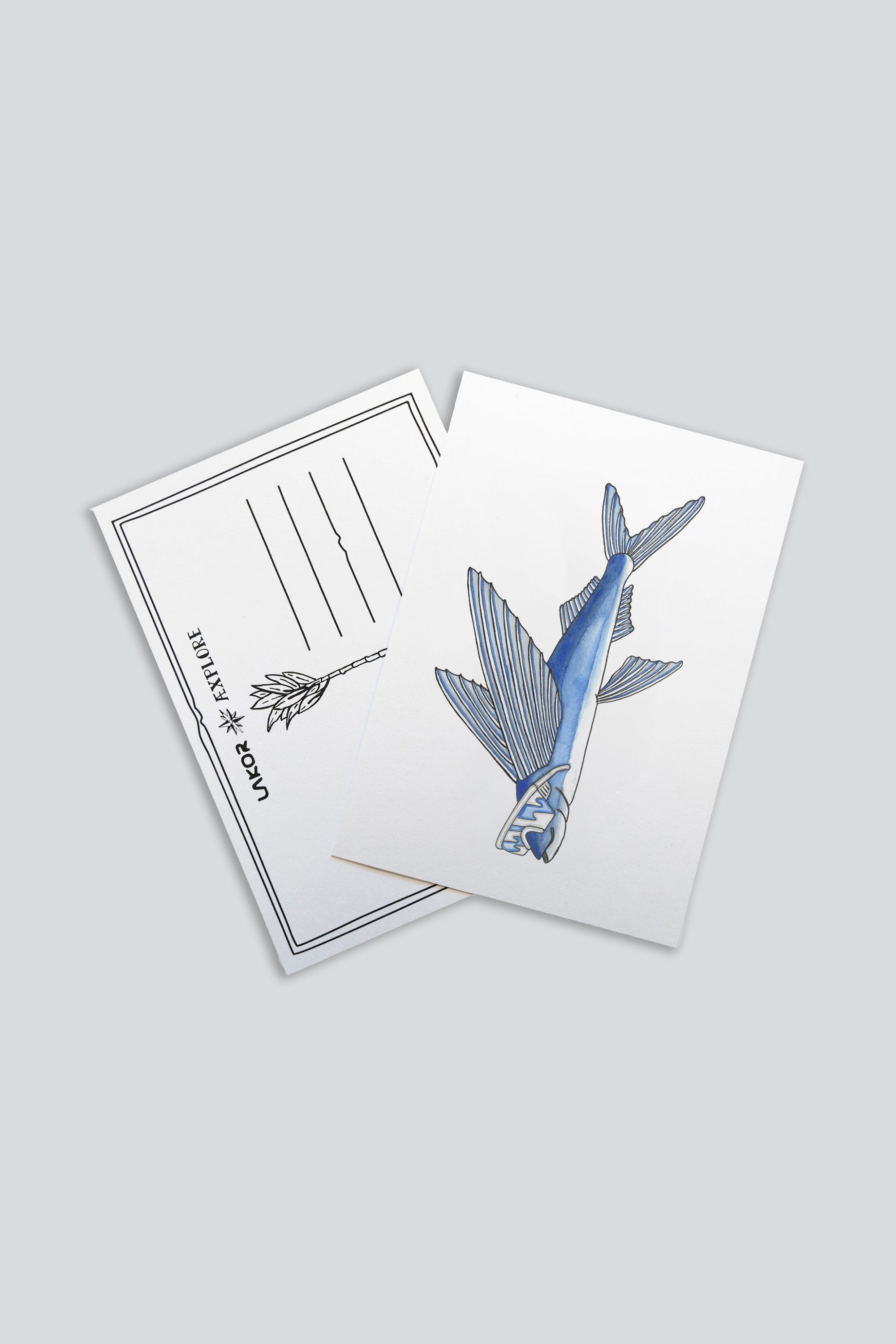 LAKOR Fly Fish Postcard Postcard White