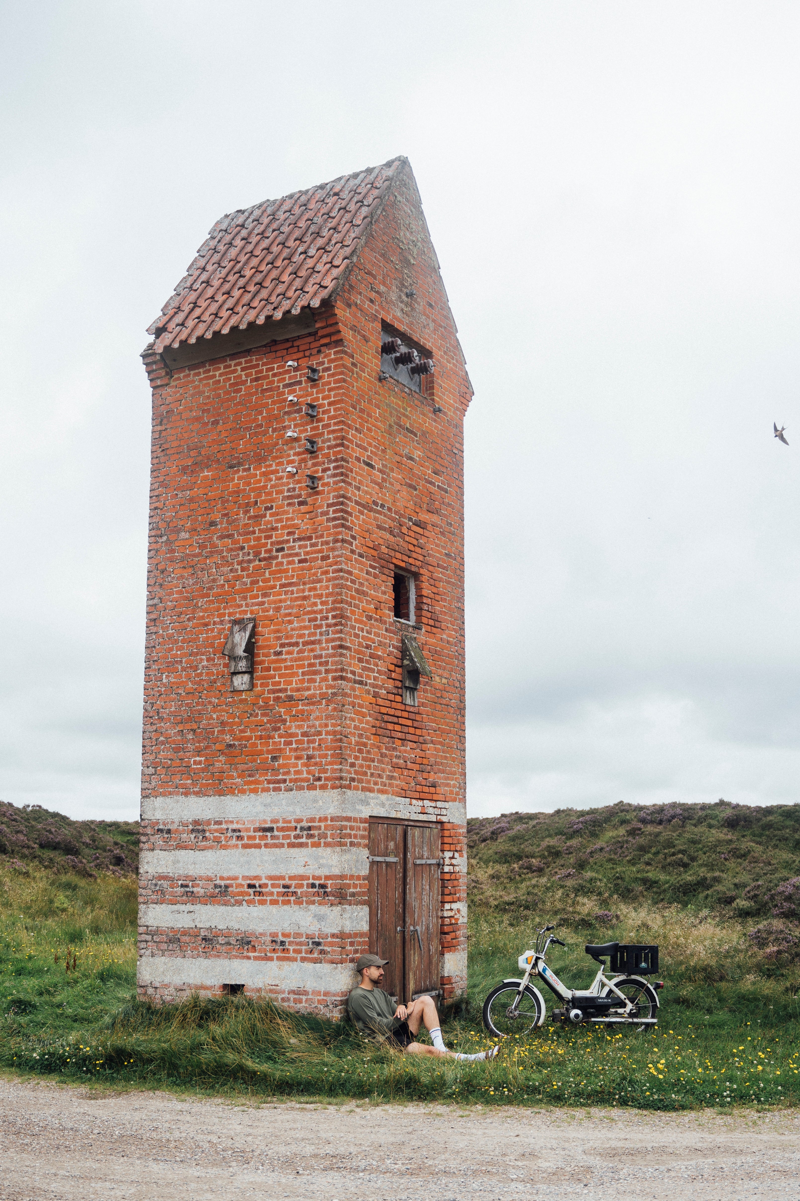 Plain Sailing Knit - Deep Lichen Green