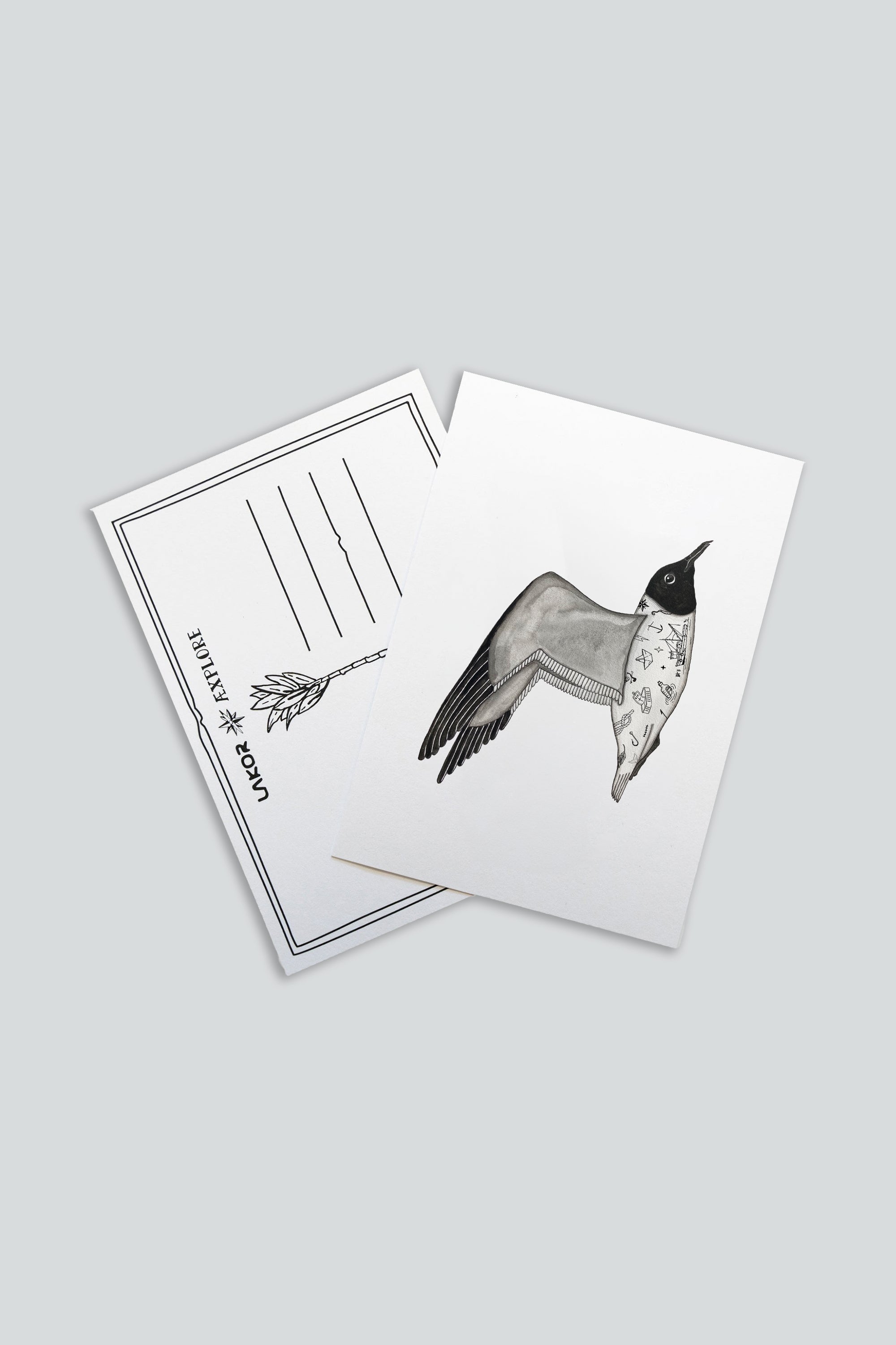 Tattooed Seagull Postcard