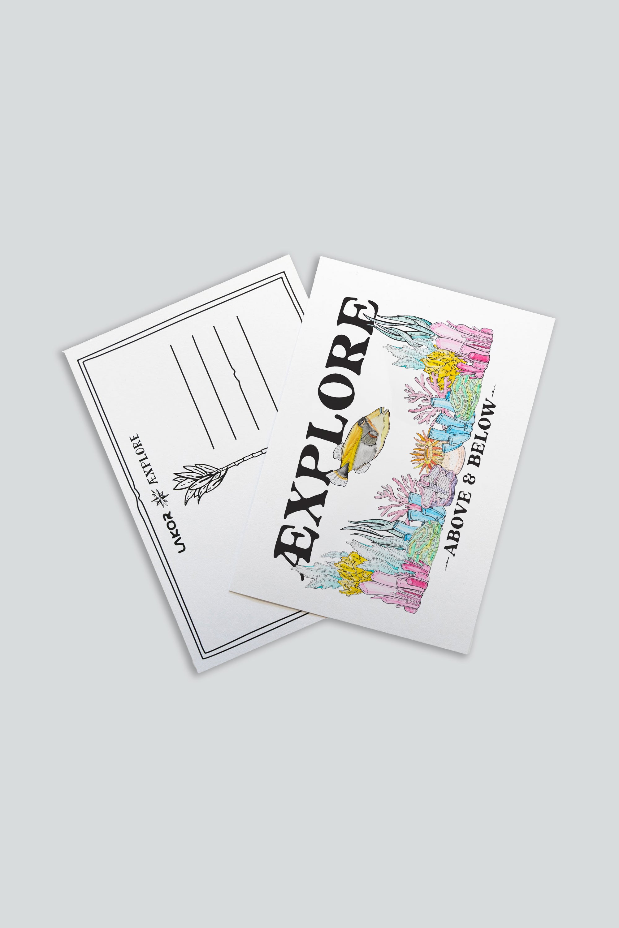 LAKOR Underwater Garden Postcard Postcard White