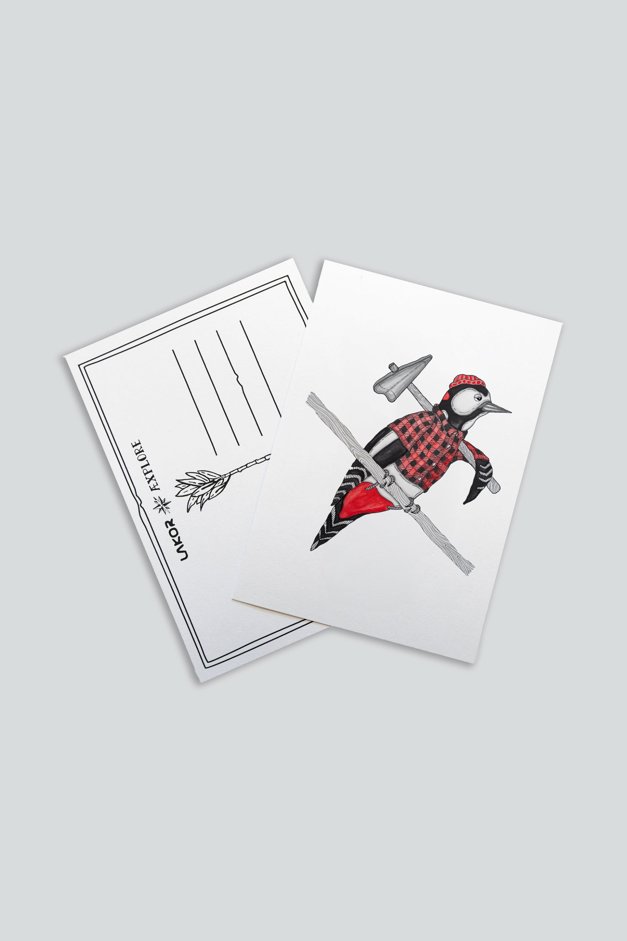 Woodpecker Postcard