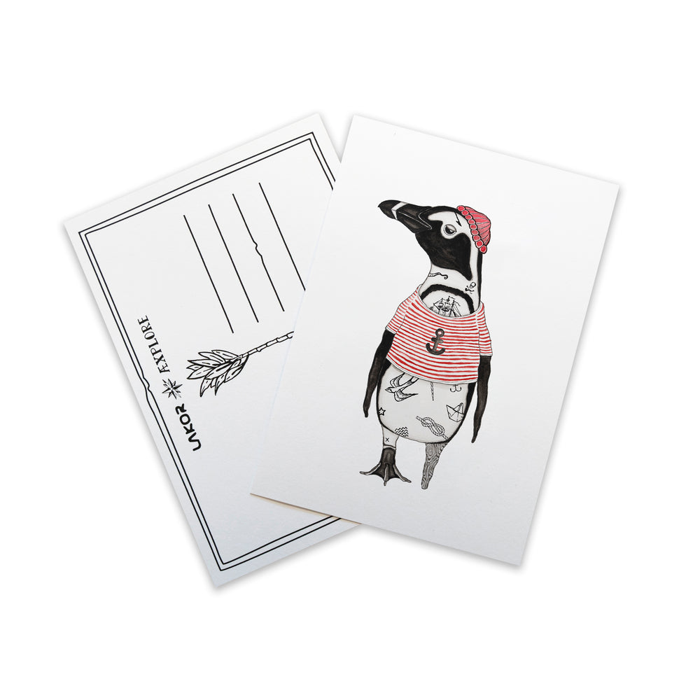 African Penguin Postcard