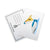 Sailing Pelican Postcard