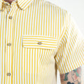 Biscay (Yellow)