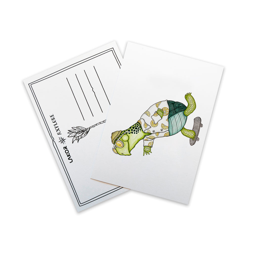 Turbo Turtle Postcard